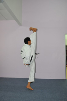 Taekwon-Do A Way of Life