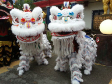 Wen Wei Lion Dance